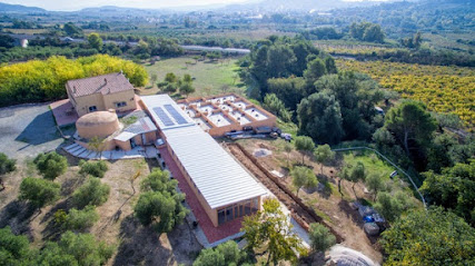 Tres Llunes | Guardería para perros en Sant Pere de Riudebitlles