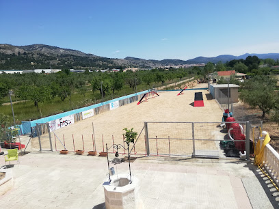 Escuela Canina Mkan | Adiestradores de perros en Alicante
