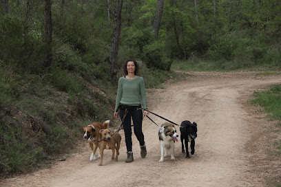 CAN GUAUU | Guardería para perros en Igualada