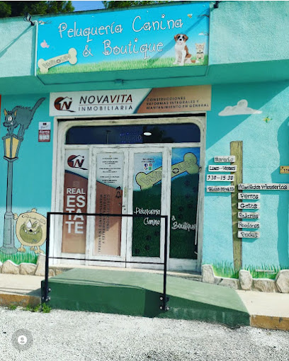 Waouh | Peluqueria para perros en Teulada