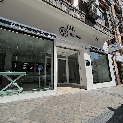 UpDog | Guardería para perros en Madrid