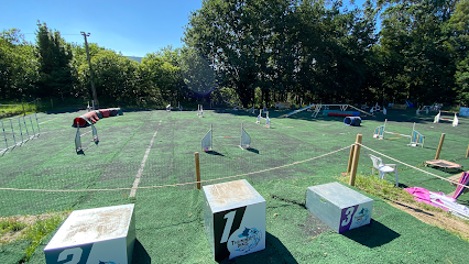 Club de Agility Thunderdogs Galicia | Adiestradores de perros en O Outeiro