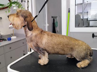 Le Petit Dog | Peluqueria para perros en Sant Cugat del Vallès