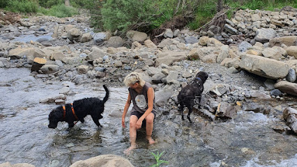 Liti | Adiestradores de perros en Palau-solita i Plegamans