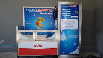 Lavamascotas | Canet de Berenguer