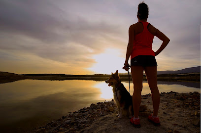 DOS | Adiestradores de perros en Las Rozas de Madrid