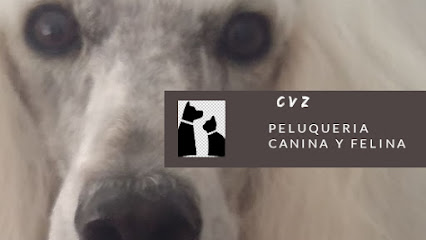 Míriam Medel | Peluqueria para perros en Pineda de Mar