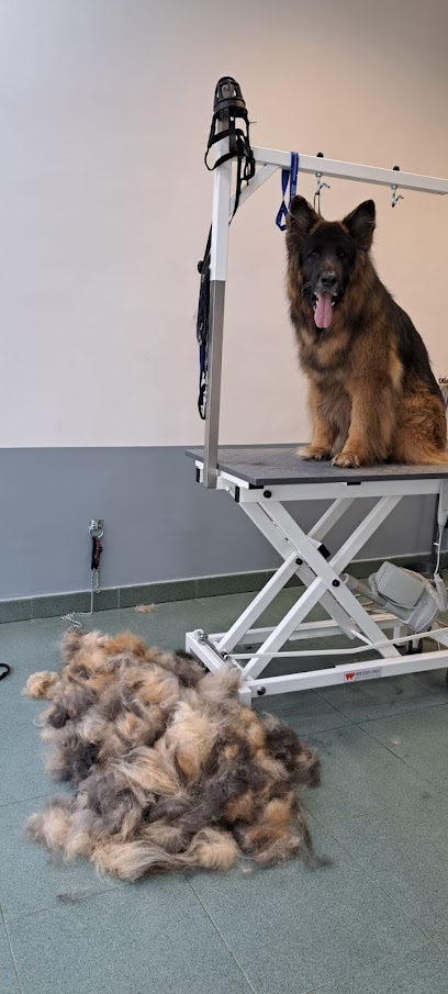 Eos Estilista Canina | Peluqueria para perros en Bilbao
