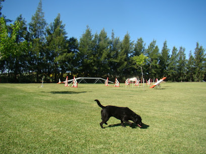 Ruta de la Plata - Sevilla | Guardería para perros en Guillena