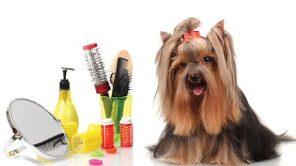 Pet Mansión | Peluqueria para perros en Pilar de la Horadada