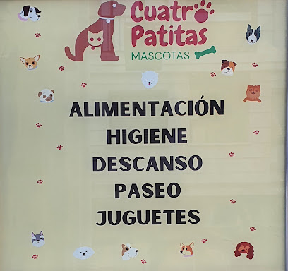 Cuatro Patitas | Peluqueria para perros en Castro-Urdiales
