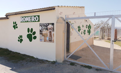 ROMERO | Guardería para perros en La Colilla