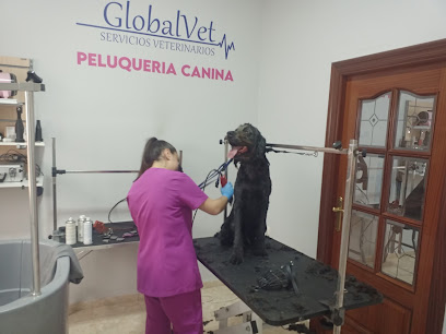 Globalvet Zalamea | Zalamea de la Serena