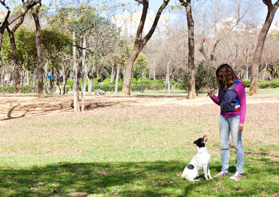 Canidos Training | Adiestradores de perros en Sevilla