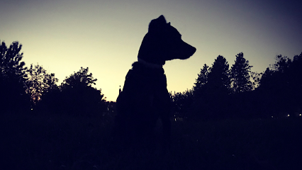 Origen Canino | Adiestradores de perros en Madrid