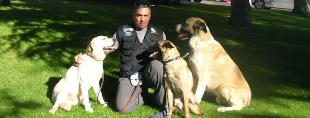 Conducan | Guardería para perros en Arganda del Rey