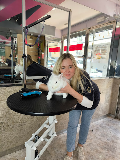 White Dog | Peluqueria para perros en Torrevieja