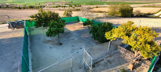 Arcos | Guardería para perros en Arcos de la Frontera