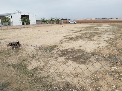 Ruben Moya | Adiestradores de perros en Albacete