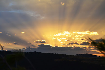 Berquir | Guardería para perros en Anorbe