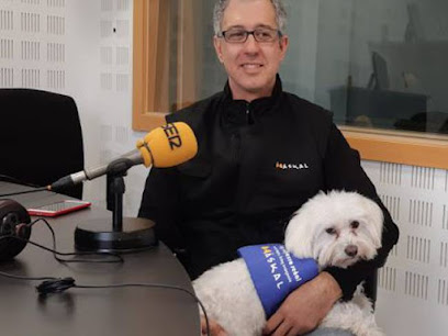 Adiestramiento Canino Alcorcon | Adiestradores de perros en Alcorcón