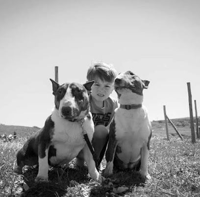 Adrastur | Adiestradores de perros en Valdesoto
