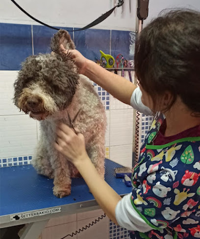 La Pelu de Vital | Peluqueria para perros en Alcázar de San Juan