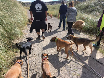 Patucas Cantabria | Adiestradores de perros en Miengo