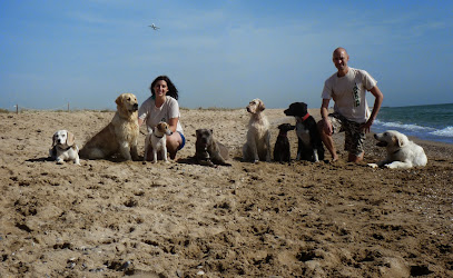 Boncan | Adiestradores de perros en Barcelona