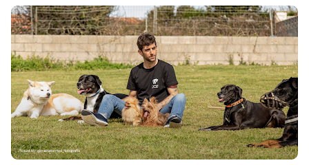 Educando | Adiestradores de perros en Santander
