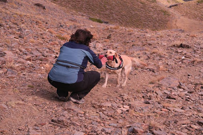 Educacion Canina Granada | Adiestradores de perros en Granada
