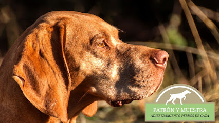 Patron y Muestra | Adiestradores de perros en Zaragoza