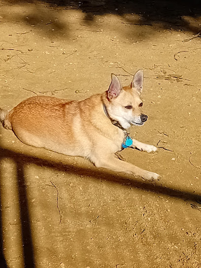 Reino Animal | Guardería para perros en Huelva