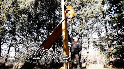 Jacan Residencia S.L | Guardería para perros en Jaca