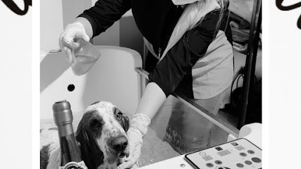 Garraypatas | Peluqueria para perros en Salamanca
