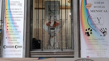 Guarderia ciudadano canino | Guardería para perros en Madrid