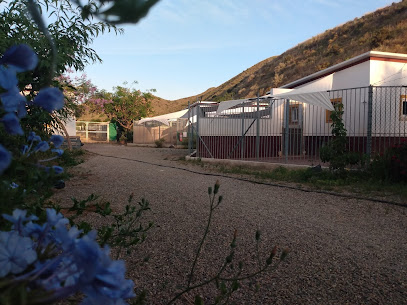 Animal Hotel | Guardería para perros en Águilas