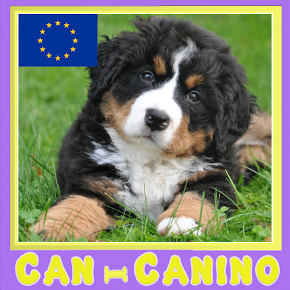 Can-Canino | El Grao de Castellon