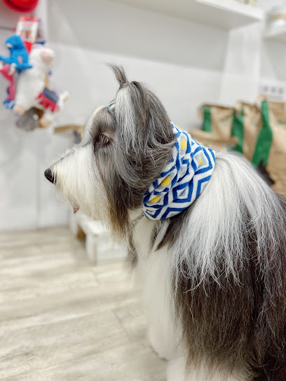 Dogneer | Peluqueria para perros en Sant Cugat del Vallès