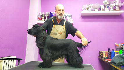 Ringcentral | Peluqueria para perros en Alcobendas
