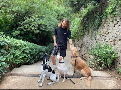 Ulver Canine Club | Adiestradores de perros en Barcelona