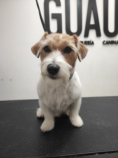Guaauu | Peluqueria para perros en Redondela