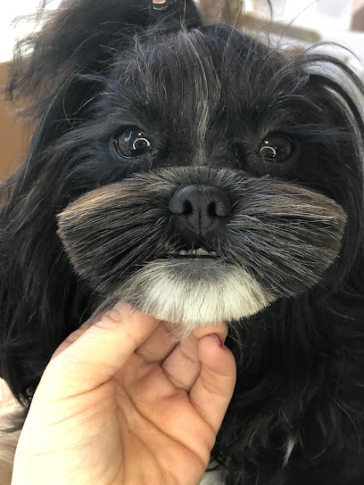 Báñame Tú Bubble | Peluqueria para perros en Narón