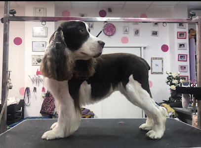 Miss Dog by Violeta Dimosa | Valencia
