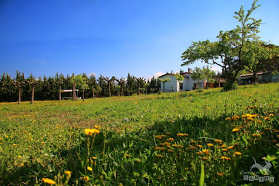 Esencia Canina | Guardería para perros en L