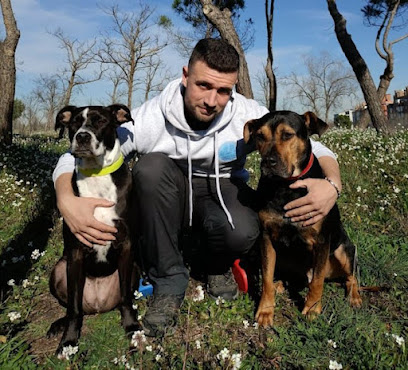 Enjoy Can | Adiestradores de perros en Madrid