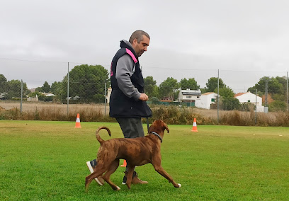 Custodis Canis | Adiestradores de perros en Albacete