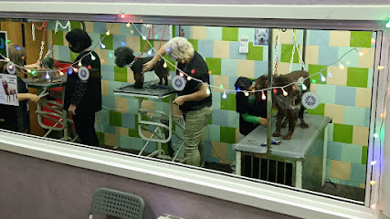 Ami-Gos | Peluqueria para perros en Terrassa