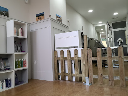 Styl´Dogs | Peluqueria para perros en Cádiz