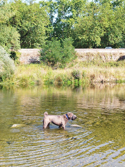 Uau By Marta Vila | Adiestradores de perros en Salitja